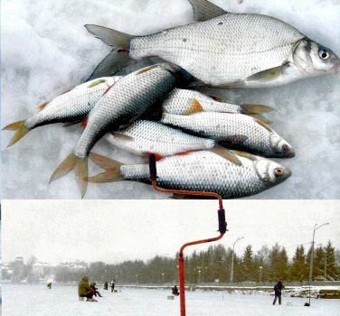 Зарисовки с тернопольского озера