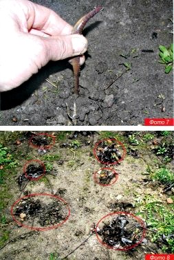 Речная ловля