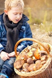 Маленький выбор Маленький выбор