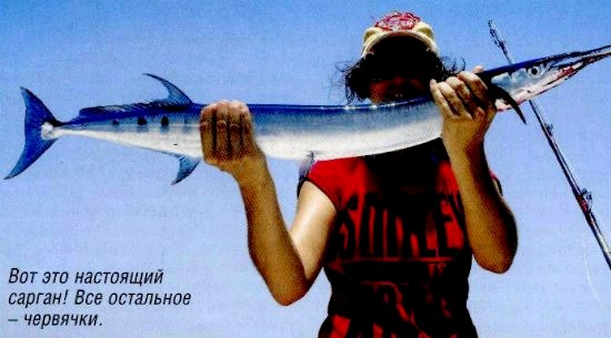 оманский залив