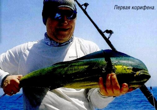 оманский залив