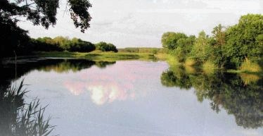 Орель