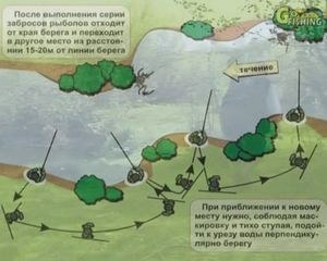 Тактика ловли Тактика ловли